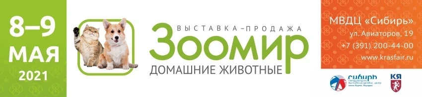 "Зоомир" для взрослых и детей
