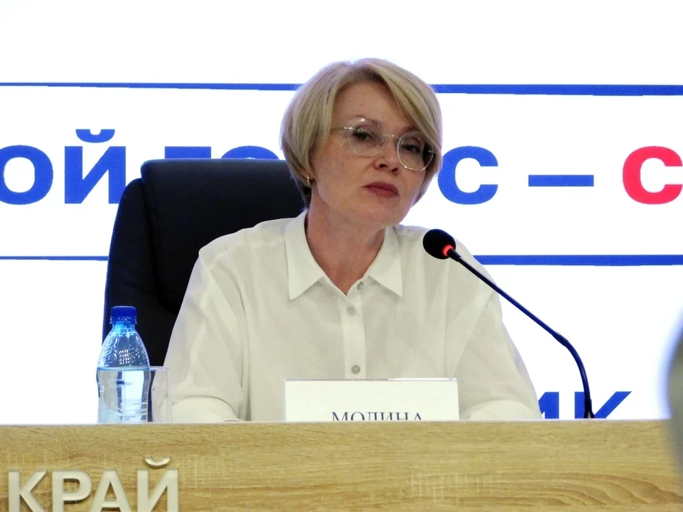 МЫ ВЫБИРАЕМ. Волонтёры на избирательных участках