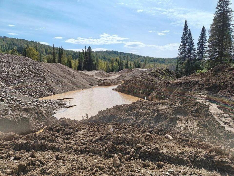 В Республике Алтай реку загрязнили золотом 