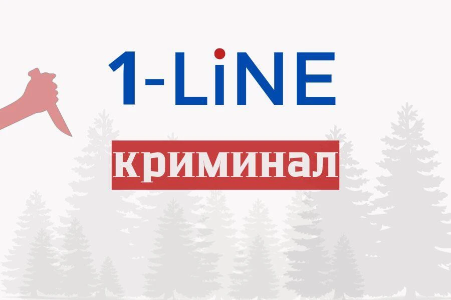 В Иркутской области 6 лет колонии получил подросток за убийство с особой жестокостью малолетней девочки