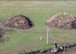 В Алтайском крае с помощью беспилотников нашли нарушения у владельцев скота