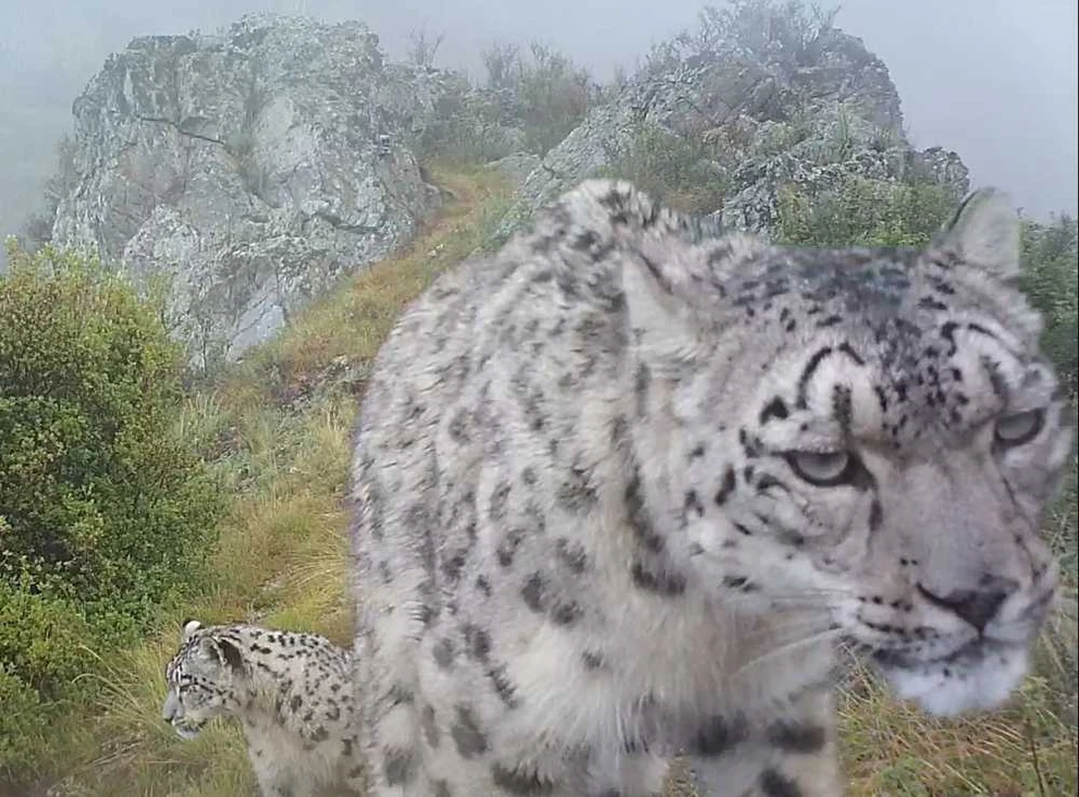 Проект Красноярского края стал победителем конкурса Президентского фонда природы