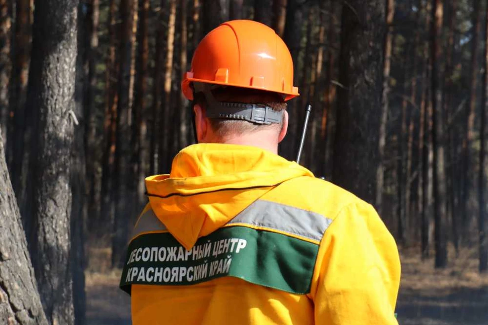 Лесопожарный центр Красноярского края набирает новых сотрудников 