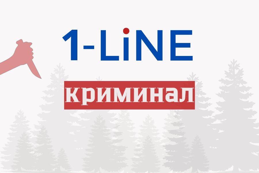 Жительница Алтая убила сожителя садовыми вилами и 23 года избегала наказания