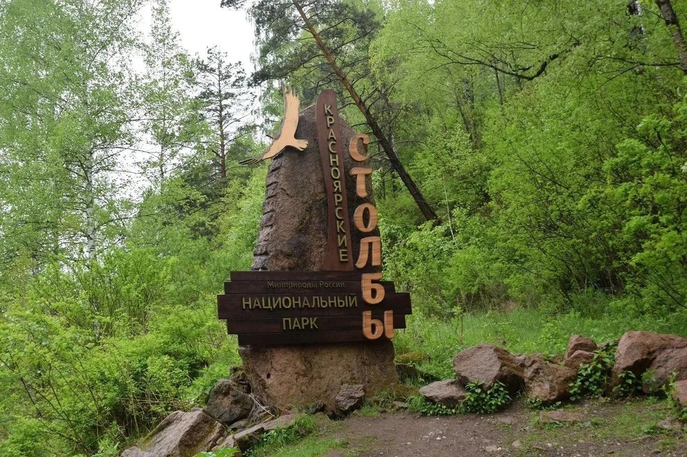В Красноярске на тропе к скале Такмак был замечен медведь