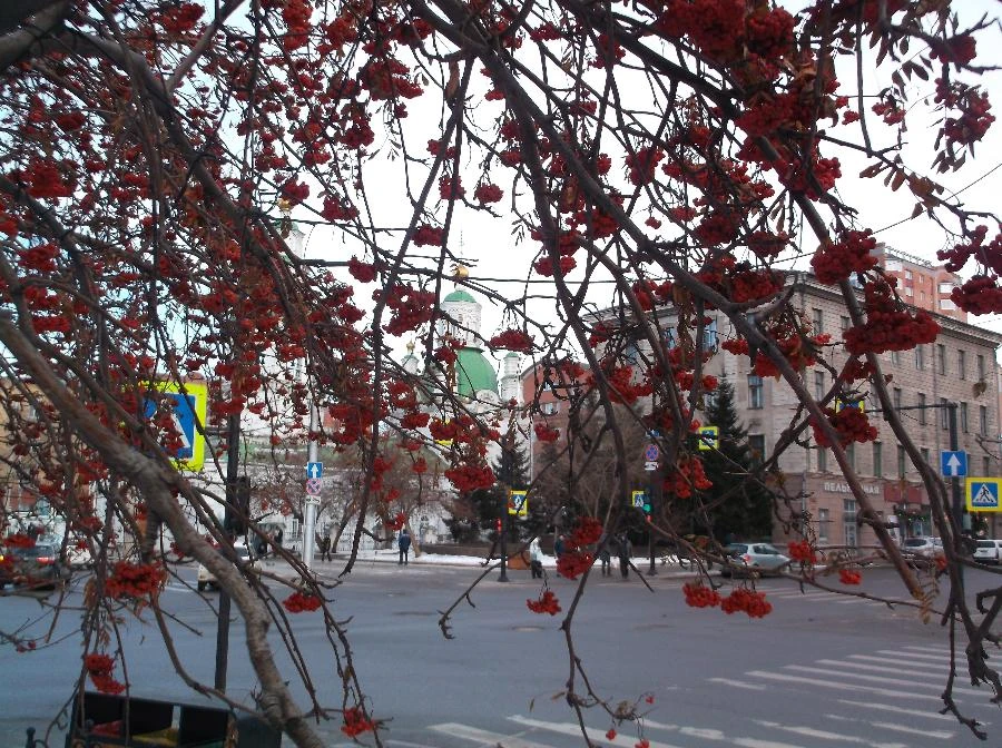 Прогноз погоды в Красноярске на 8 марта