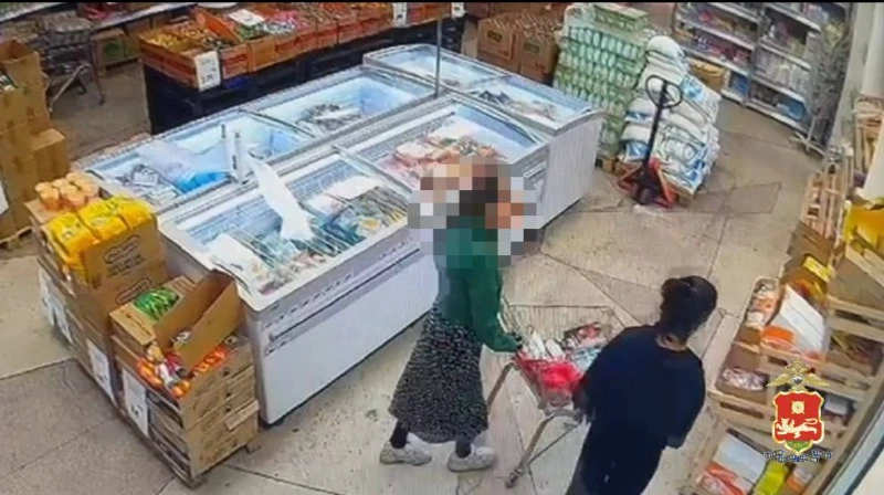 В Хакасии женщина обокрала магазины на 14 тыс рублей
