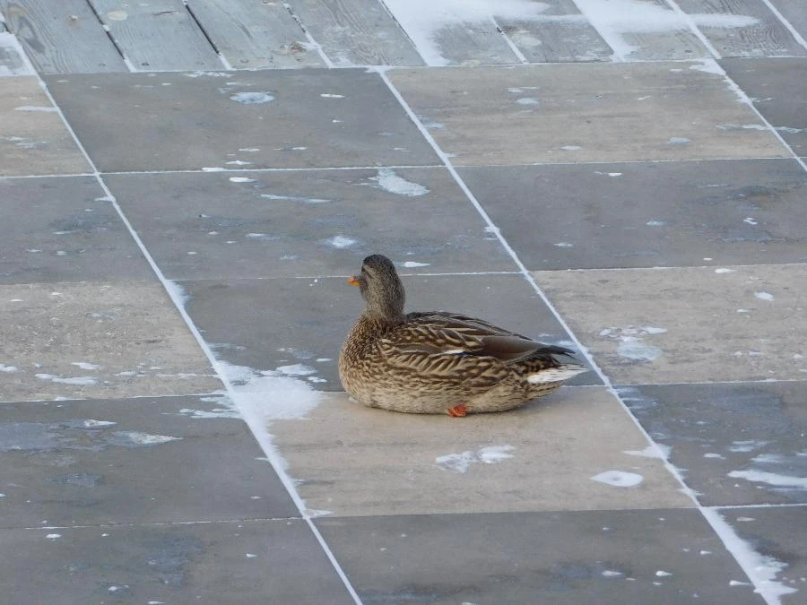 Прогноз погоды в Красноярске на 28 марта