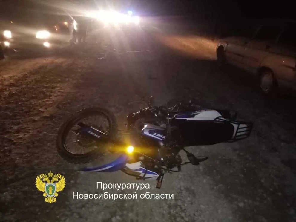 В Новосибирской области суд ожидает водителя гужевой повозки за смертельное ДТП