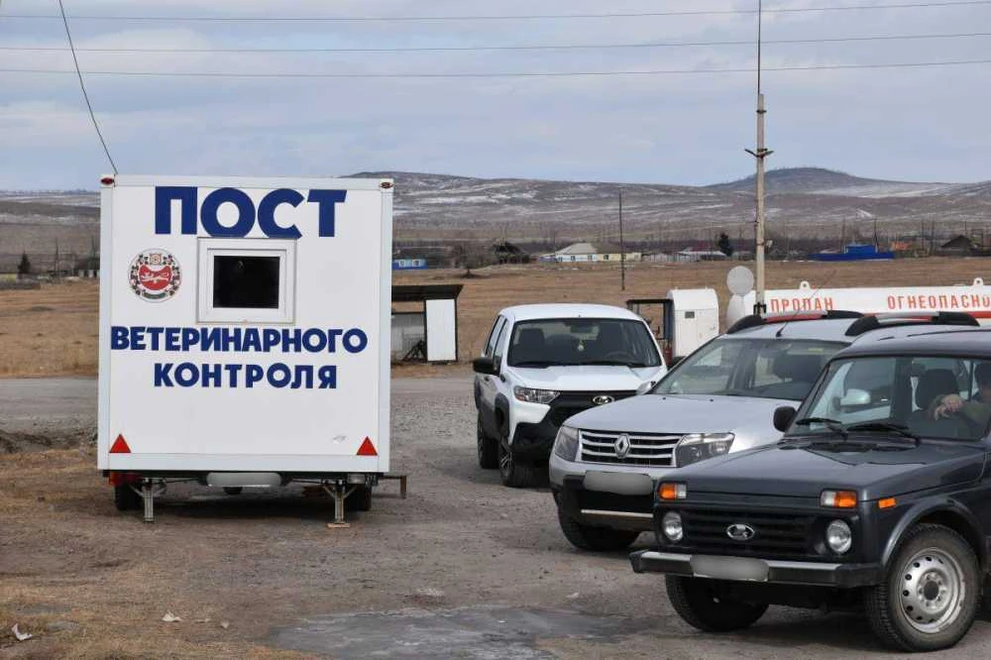 В Хакасии введен круглосуточный контроль за перевозкой животных и продукции
