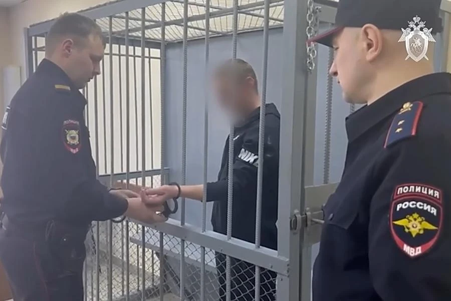В Иркутской области мужчину, натравившего собаку на ребёнка, отправили в колонию