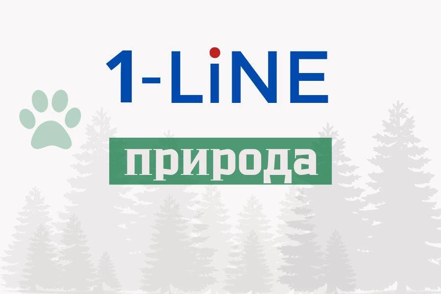 Предупреждение о неблагоприятной погоде в Иркутской области