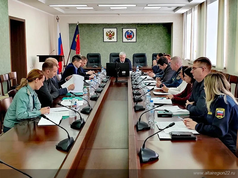 В Алтайском крае стало меньше незаконных рубок леса