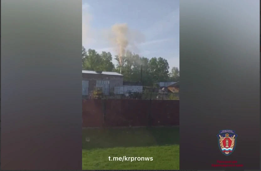 В Красноярском крае перерабатывали подсолнухи в ущерб атмосферному воздуху 