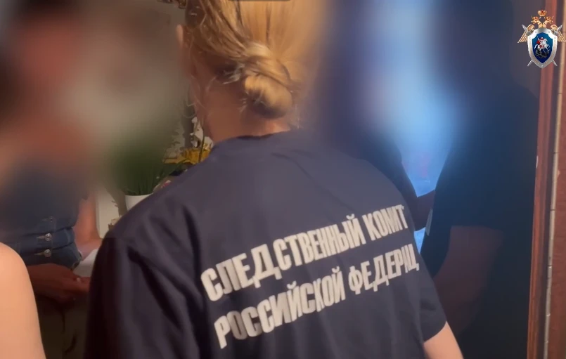 В Красноярске задержана подозреваемая в хулиганстве по отношению к ребёнку