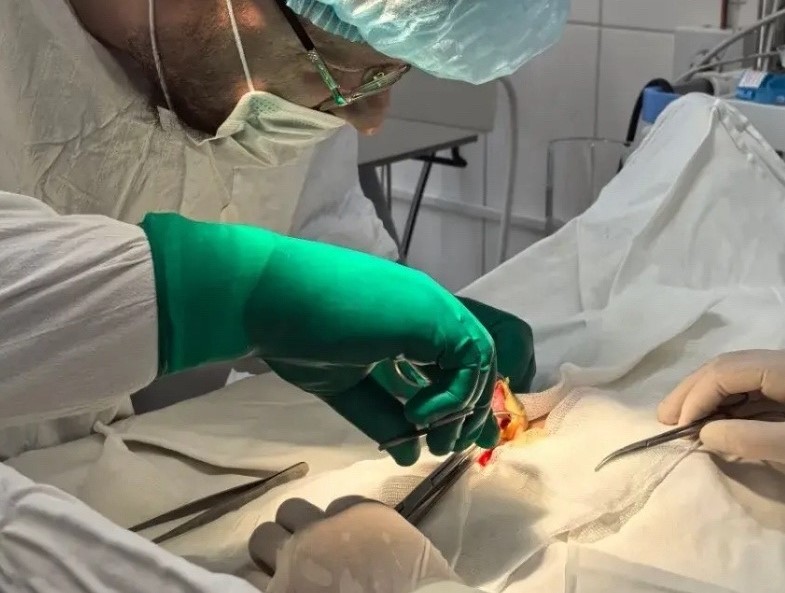 Алтайские врачи спасли почку семилетнему мальчику после удара копытом