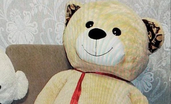 В Омской области девушка спрятала деньги подруги в плюшевого медведя