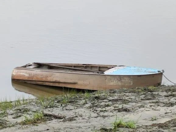 photo_2025-03-19_10-53-22.jpg