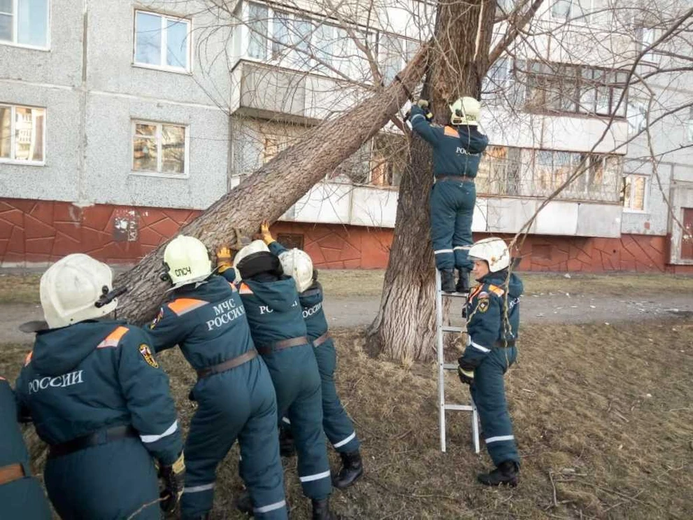 Работа спасателей (2).jpg
