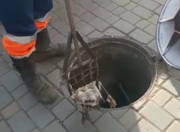 Без имени.jpg Без имени.jpg