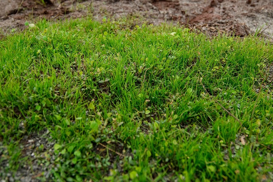 dsc8366-3983b61376.jpg dsc8366-3983b61376.jpg