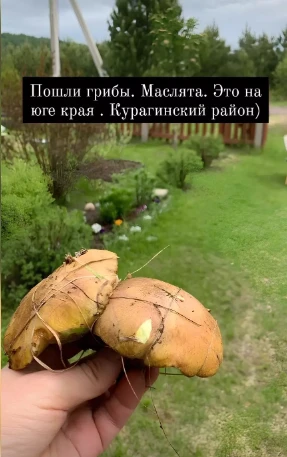 2024-06-04_10-38-30.png 2024-06-04_10-38-30.png