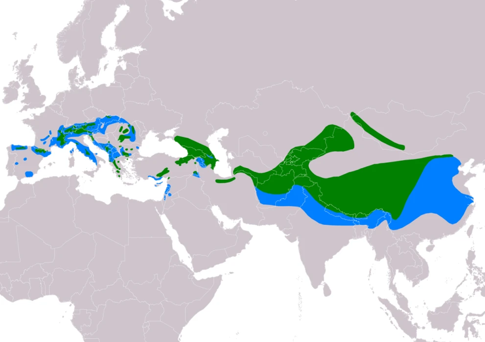 Ареалы обитания краснокрылого стенолаза 1280px-TichodromaMurariaIUCN.png