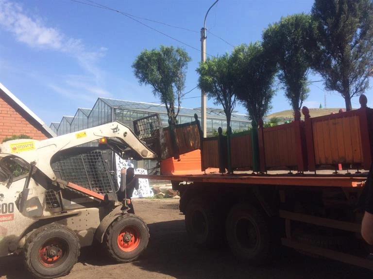 Пальмы1.jpg Пальмы1.jpg
