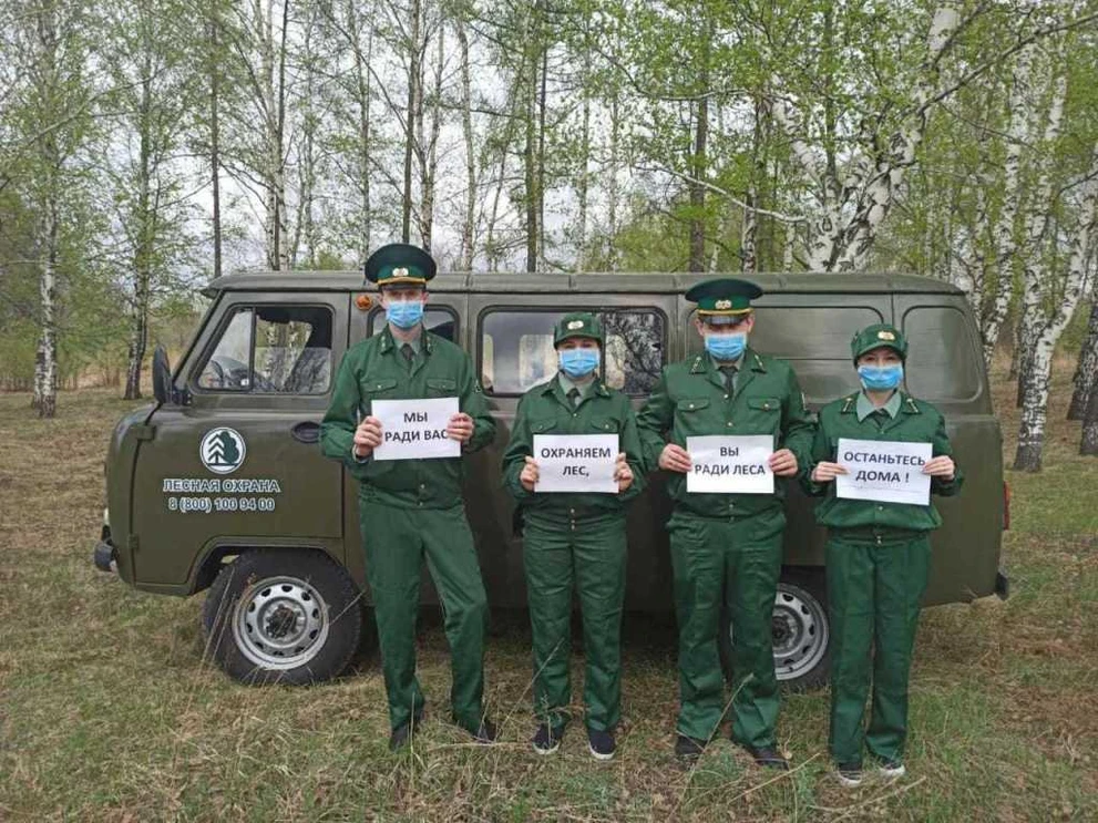 В лесах Красноярского края введён режим ЧС o-45695.jpg