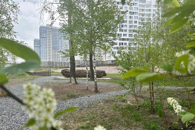 Площадка для выгула собак_СВ_0523 (2).jpg Площадка для выгула собак_СВ_0523 (2).jpg