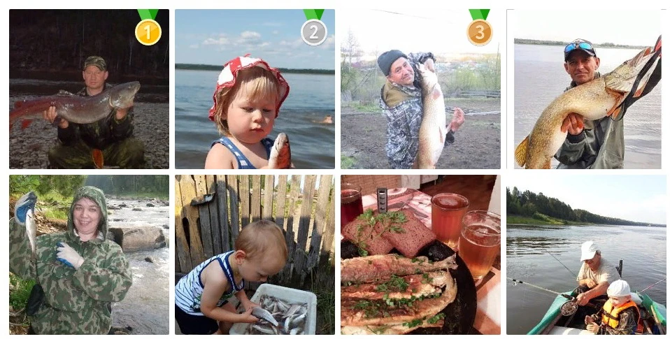 Конкурсные фото на голосовании в соцсети 2.jpg