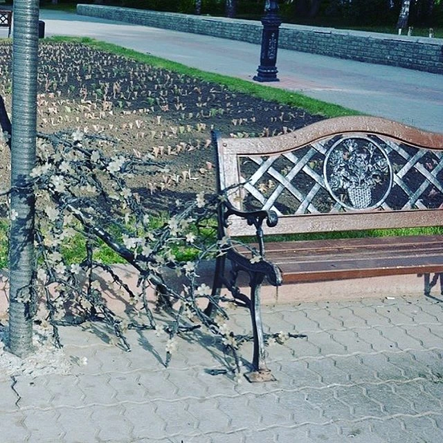 Площадь Мира_1.jpg Площадь Мира_1.jpg