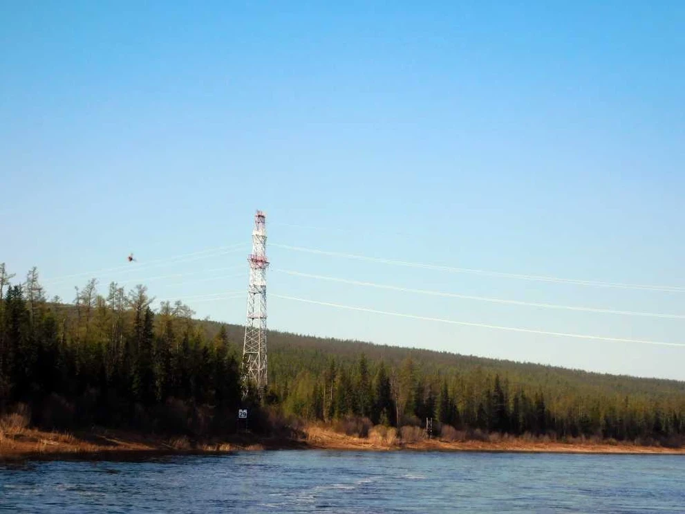DSCN7390.JPG