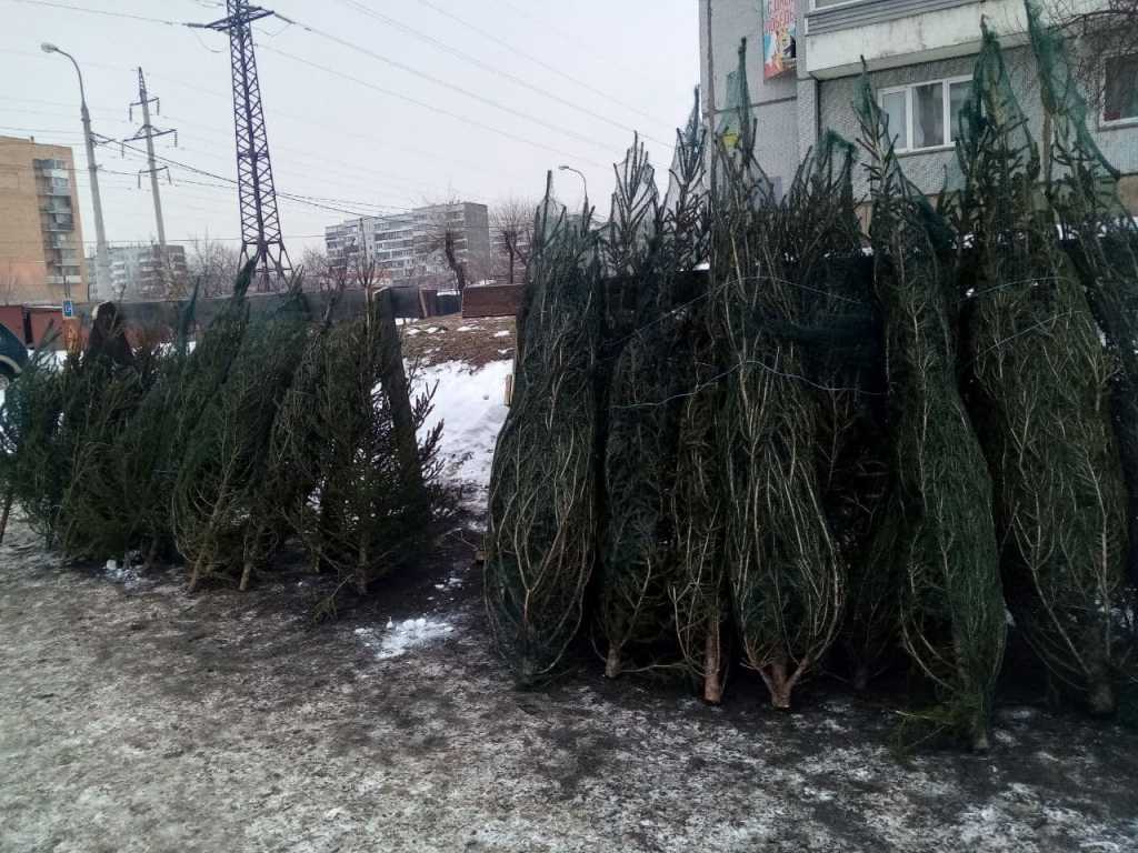 Словцова, 12.jpg