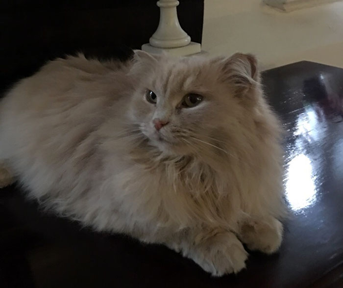 Суриков4.jpg Суриков4.jpg