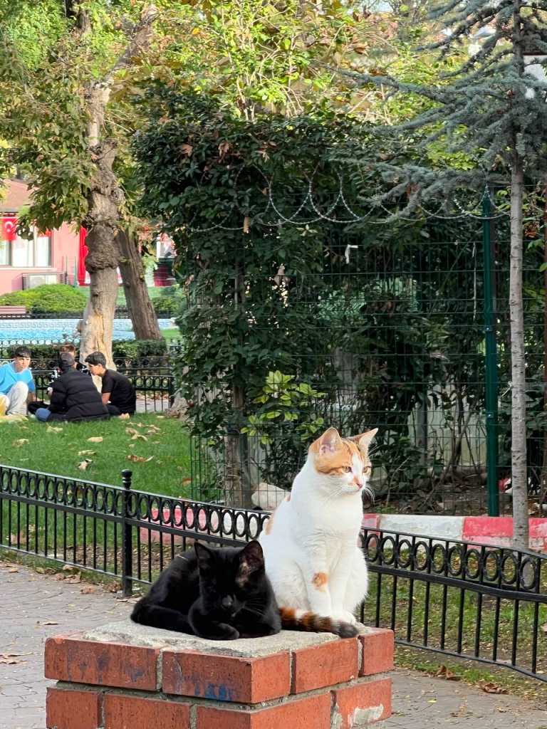 photo_2023-11-27_19-27-12.jpg photo_2023-11-27_19-27-12.jpg