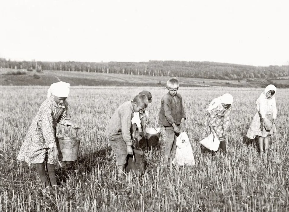 дети в поле.jpg