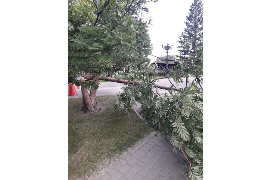 фото с паблика Инцидент Барнаул.jpg