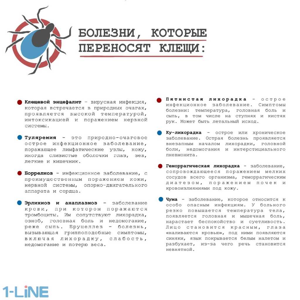 q6YOG8UEQ7c.jpg q6YOG8UEQ7c.jpg