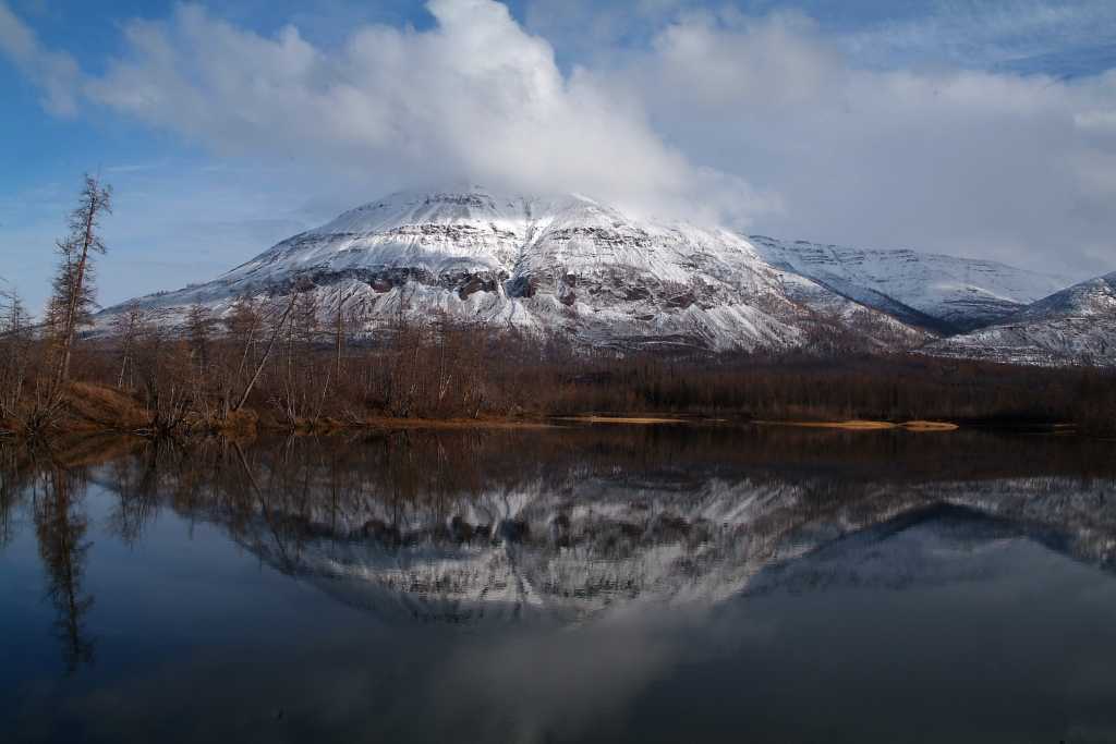 Природа Арктики 1.jpg