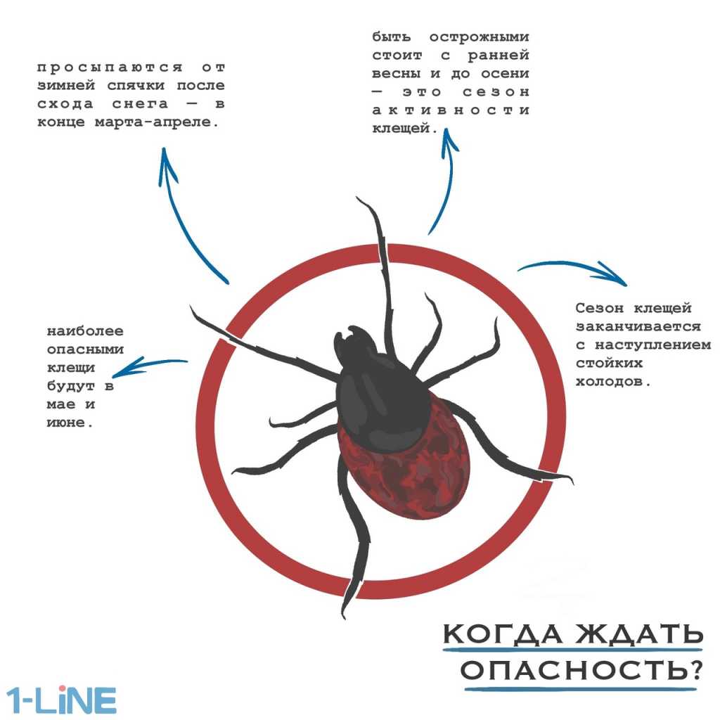 E4favs9LD2M.jpg E4favs9LD2M.jpg